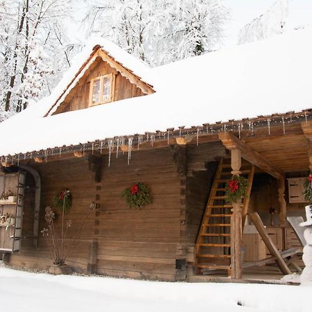 Apartma Kasca Domžale Zewnętrze zdjęcie