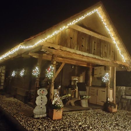 Apartma Kasca Domžale Zewnętrze zdjęcie