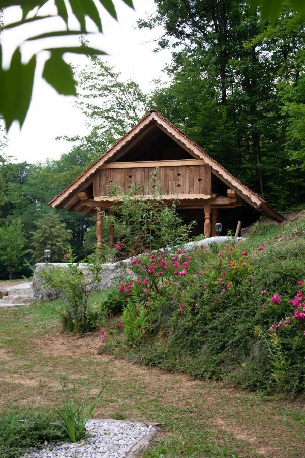 Apartma Kasca Domžale Zewnętrze zdjęcie